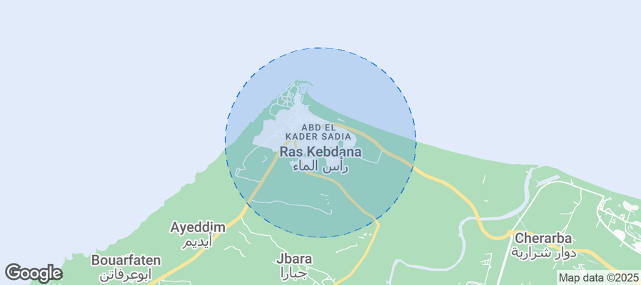 Discover Ras Kebdana Airbnb Analytics